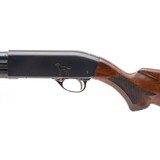 "Hi Standard Pointer Shotgun 12 Gauge (S16628)" - 4 of 4