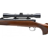 "Remington 700 BDL Rifle .243 Win (R43288)" - 2 of 4