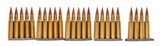 "Lake City .308 Win Ammo 24 Rounds (AM2158)" - 1 of 2