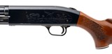 "Westernfield M550CR Shotgun 20 Gauge (S16668)" - 4 of 4