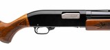 "Sears Ted Williams M200 Shotgun 12Ga (S16137) ATX" - 2 of 4