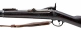 "U.S. Springfield Model 1884 trapdoor rifle .45-70 (AL10154)" - 5 of 11