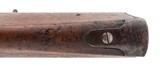 "Sharps 1874 Military rifle 50-70 (AL10151)" - 8 of 9