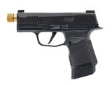 "Sig Sauer Custom P365X Pistol 9mm (PR70978)" - 2 of 3