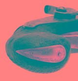 "Henry Deringer small Pocket size percussion pistol .45 caliber (AH8746)" - 13 of 14