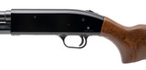 "Westernfield M550CD Pump Shotgun 20 Gauge (S16766)" - 4 of 4