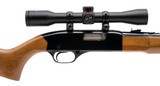 "Winchester 190 Rifle .22 L/LR (W13563)" - 2 of 6