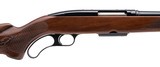 "Winchester 88 Rifle .243 Win (W13624)" - 2 of 5