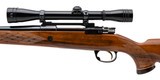 "A&F Mauser Sporter Rifle .300 Win Mag (R43526)" - 4 of 4