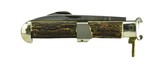 "Falcon Stag Handled Large Folding Hunting Knife (K2118)"