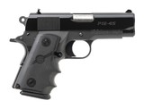"Para Ordnance P12-45 Pistol .45 ACP (PR69187)" - 1 of 6
