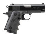 "Para Ordnance P12-45 Pistol .45 ACP (PR69187)"