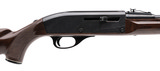 "Remington Nylon 66 Rifle .22LR (R44478)" - 2 of 4