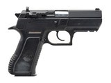 "Magnum Research IWI Desert Eagle Pistol .40 S&W (PR72688)"