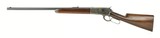 "Winchester Model 1886 Lever Action rifle .50 Express (W5906)" - 7 of 13