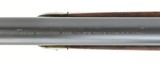 "Winchester Model 1886 Lever Action rifle .50 Express (W5906)" - 10 of 13