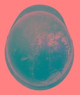 "German World War II M-40 rolled-edge steel helmet (MM5717)" - 5 of 6