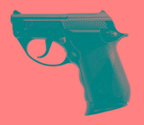 "Taurus PT-25 Pistol .25 Auto (PR73782)" - 2 of 3