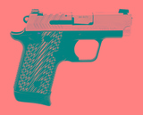"Springfield 911 Pistol .380 ACP (PR73957)"