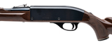 "Remington Nylon 66 Rifle .22LR (R45185)" - 4 of 4