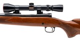 "Winchester Model 770 Rifle .22-250 (W13879)" - 4 of 5