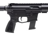 "(SN: 100109) Bird Dog BD-9 Rifle 9mm (NGZ5157) New" - 2 of 5