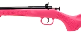 "(SN: 1153588) K.S.A. Crickett Youth Rifle .22S, L, LR (L2025-09739) NEW" - 4 of 5