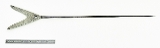 "Large Karimata Arrowhead (MGJ496)" - 2 of 4