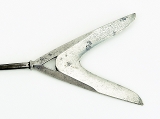 "Large Karimata Arrowhead (MGJ496)" - 3 of 4