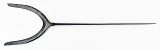 "Karimata Arrowhead (MGJ478)" - 5 of 5