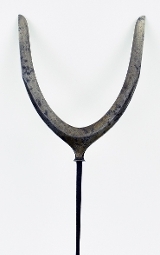 "Karimata Arrowhead (MGJ478)"