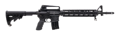 "Bushmaster XM15-E2S 30th Anniversary Rifle .223/5.56 NATO (R44199) DTX"