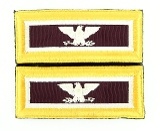 "Set of U.S. Army Colonel Shoulder Boards (MM995)" - 1 of 1