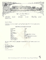 "Factory Engraved Colt Engraved Single Action Army (L2025-08989)" - 7 of 7