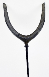 "Karimata Arrowhead (MGJ478)" - 2 of 5