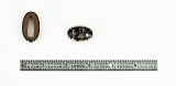 "Kinko Fuchi Kashira (MGJ489)" - 5 of 6