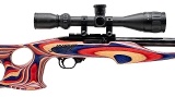 "RUGER 10/22 U.S. SHOOTING TEAM RACE RIFLE 22LR (L2025-09589)" - 2 of 4