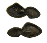 "Authentic antique Japanese Menuki
(MGJ968)" - 2 of 2