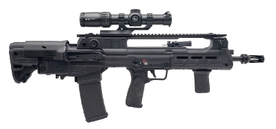 "Springfield Hellion Rifle 5.56 NATO (L2025-13666)"