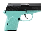 "Remington RM380 Pistol .380 ACP (L2025-14303)"