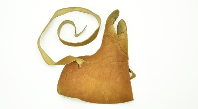 "Brown leather Archer’s Glove (MGJ134)"