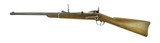 "Springfield Trapdoor Carbine (AL4024)" - 10 of 14