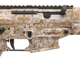 "SIG SAUER P226 & SIG556 DIGITAL DESERT CAMO SERIES TWO GUN COMBO 9MM/5.56 NATO (L2026-00453)(L2026-00454)" - 9 of 13