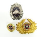 "Nazi Veteran’s Cockade and Cap Device (MM1115)" - 1 of 1