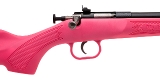 "K.S.A. Crickett Youth Rifle .22S, L, LR (L2026-02204)" - 2 of 4