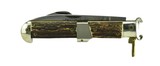 "Falcon Stag Handled Large Folding Hunting Knife (K2118)" - 1 of 4