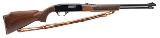 "WINCHESTER 290 DELUXE CARBINE 22 S-L-LR (L2026-02686)" - 1 of 6