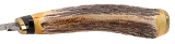 "CASE XX 5 FINN SSP STAG HANDLE FIXED BLADE HUNTING KNIFE (68824)" - Image 6 of 8