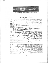 "Peter Angstadt Flintlock Kentucky Rifle (AL10264) CONSIGNMENT" - Image 15 of 15