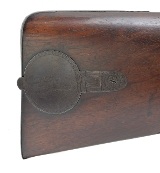 "English Percussion Double Rifle (AL4274)" - Image 10 of 11